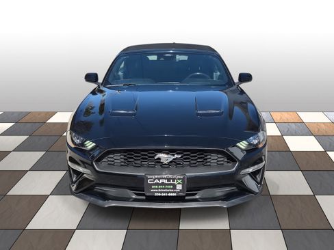 Used 2023 Ford Mustang Premium w/ Equipment Group 201A image 2