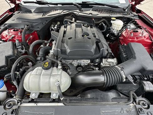 Used 2020 Ford Mustang Coupe w/ Equipment Group 101A image 45