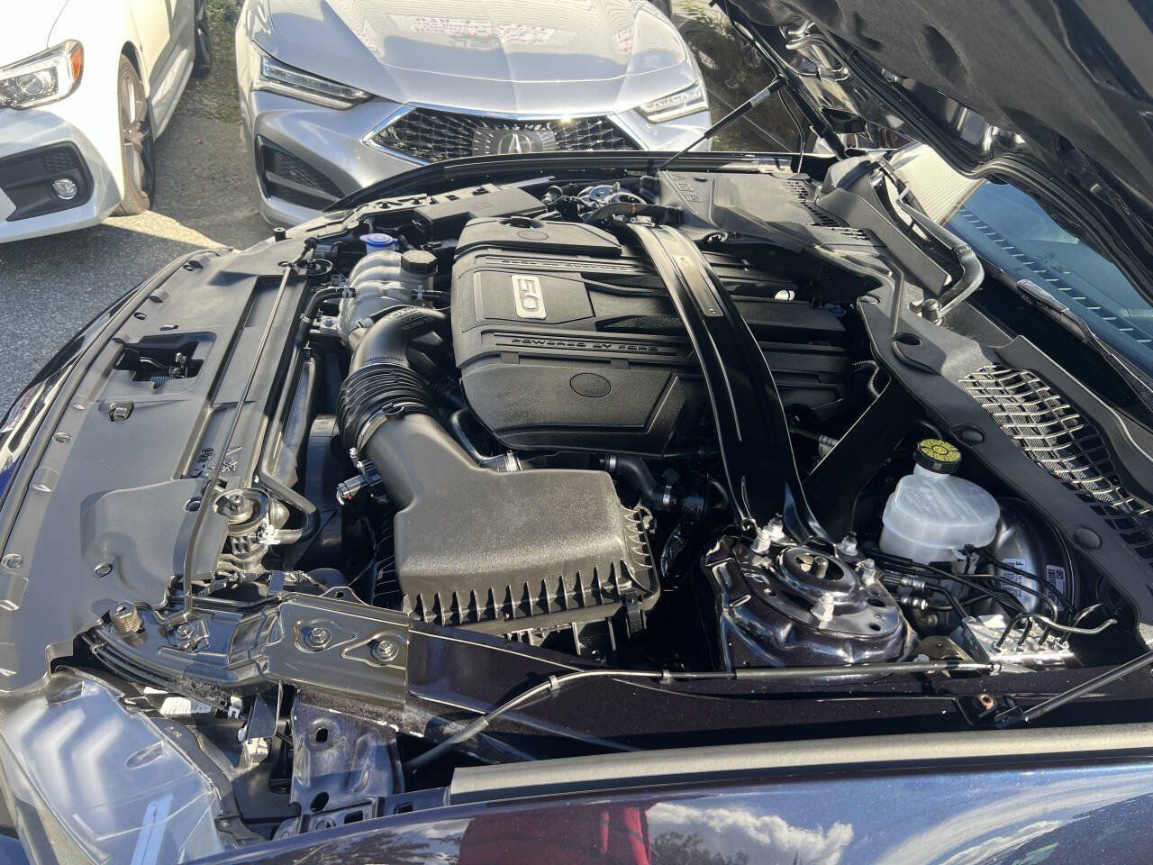 Used 2021 Ford Mustang GT Premium w/ Equipment Group 401A RWD image 37