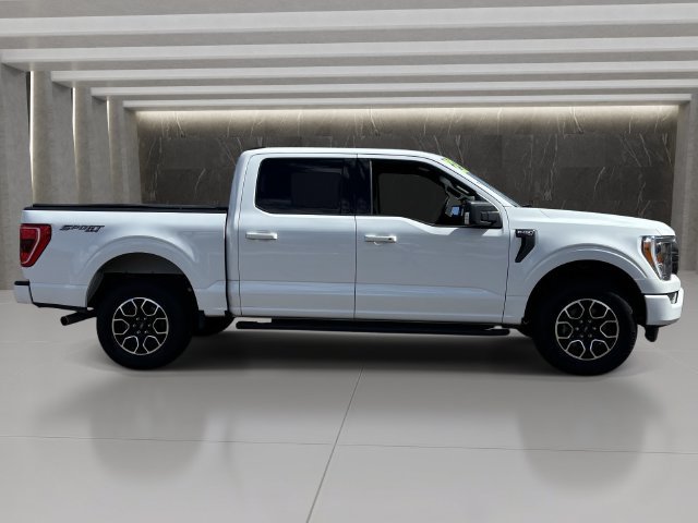 Used 2023 Ford F150 XLT w/ Equipment Group 302A High AWD/4WD image 7