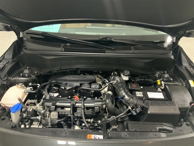 Used 2024 Kia Seltos SX w/ SX Sunroof Package AWD/4WD image 8