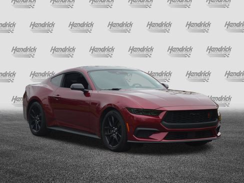 Used 2025 Ford Mustang Coupe w/ Mustang Nite Pony Package image 5