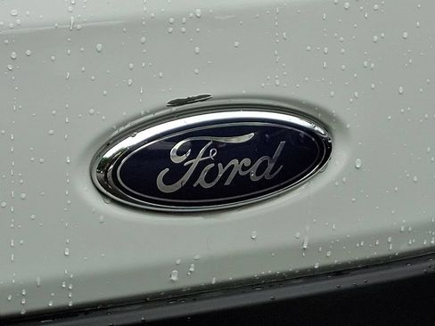 Used 2025 Ford Transit 250 Low Roof w/ Exterior Upgrade Package RWD image 29