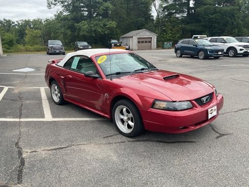 Used 2001 Ford Mustang GT Premium RWD image 5
