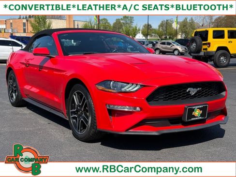 Used 2020 Ford Mustang Premium RWD image 1