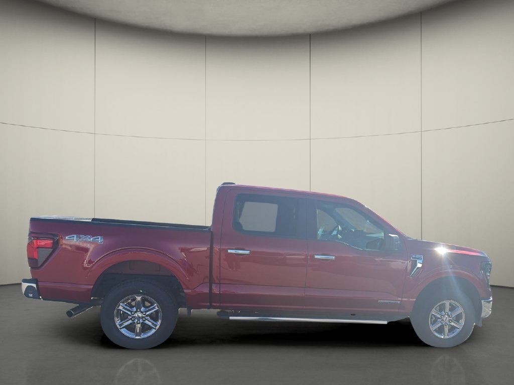 Used 2025 Ford F150 XLT w/ Equipment Group 301A Standard AWD/4WD image 8