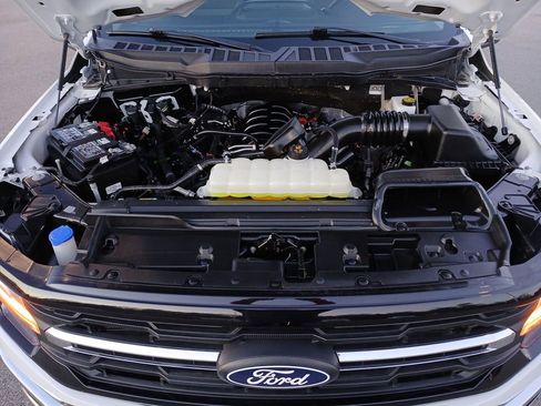 Used 2025 Ford F150 XLT w/ Equipment Group 301A Standard image 31