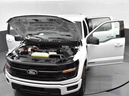 New 2025 Ford F150 XLT w/ Equipment Group 301A Standard image 7