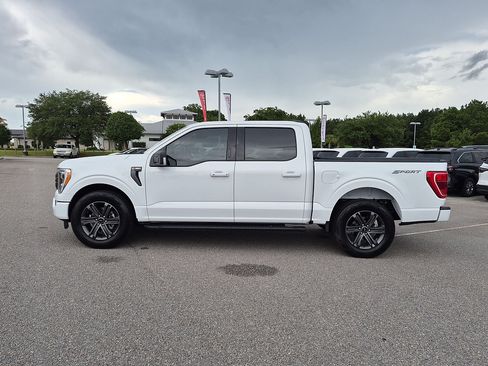Used 2023 Ford F150 XLT w/ Equipment Group 302A High RWD image 6
