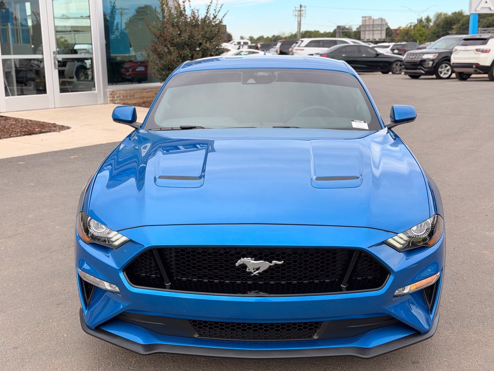 Used 2021 Ford Mustang GT Premium w/ Ford Safe & Smart Package RWD image 9
