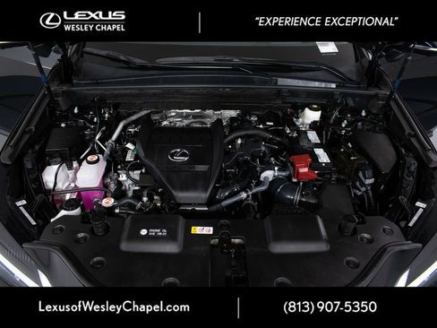 Used 2025 Lexus NX 350 AWD w/ Cold Area Package image 10