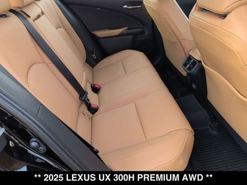 New 2025 Lexus UX 300h AWD w/ Cold Area Package image 18