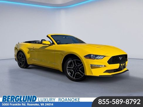 Used 2018 Ford Mustang Premium w/ Equipment Group 201A image 1