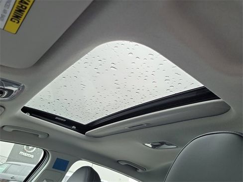 New 2025 Hyundai Elantra Limited image 16