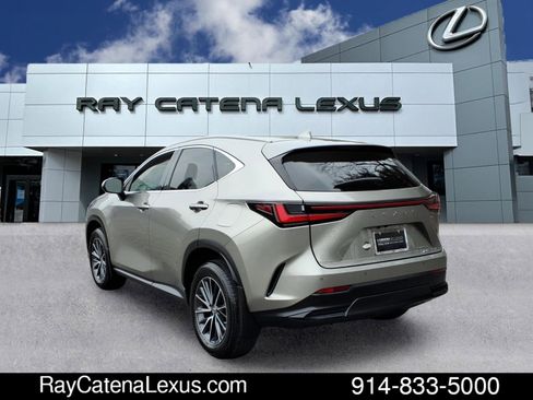 Certified 2023 Lexus NX 350 AWD image 6