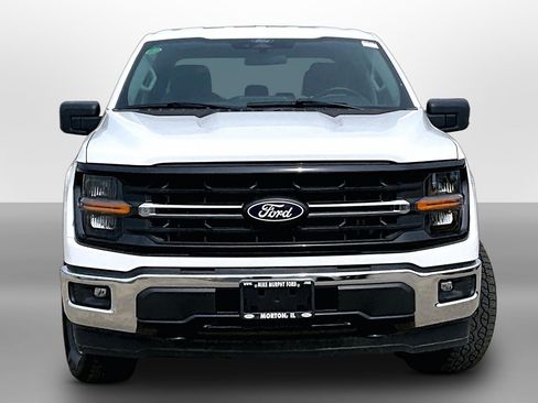 Used 2025 Ford F150 XLT w/ Equipment Group 301A Standard AWD/4WD image 3