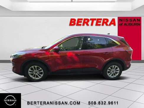 Used 2025 Ford Escape ST-Line Select AWD/4WD image 1