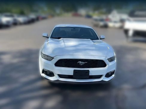 Used 2016 Ford Mustang Coupe w/ Equipment Group 051A image 9