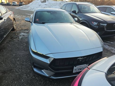 Used 2025 Ford Mustang Premium RWD image 4