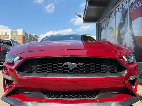 Used 2019 Ford Mustang GT Premium w/ GT Performance Package RWD image 8