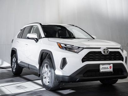 New 2025 Toyota RAV4 XLE