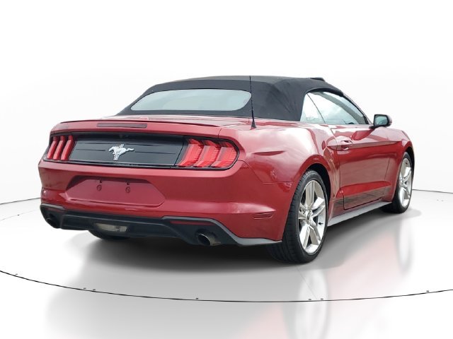 Used 2021 Ford Mustang Premium w/ Equipment Group 201A RWD image 4