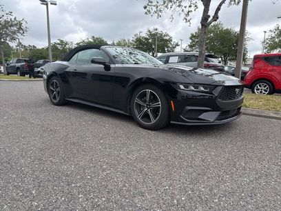 Used 2024 Ford Mustang Premium