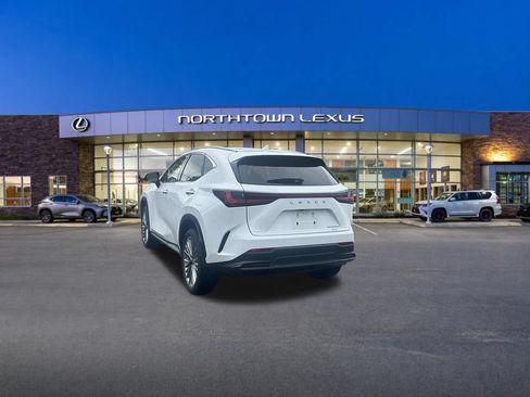 Certified 2026 Lexus NX 350h AWD w/ Cold Area Package image 22
