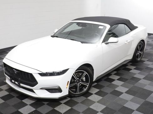 Used 2025 Ford Mustang Premium RWD image 2