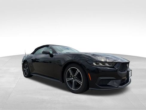 Used 2024 Ford Mustang Premium RWD image 10