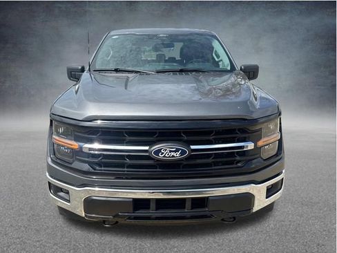 Used 2025 Ford F150 XLT w/ Equipment Group 301A Standard AWD/4WD image 3