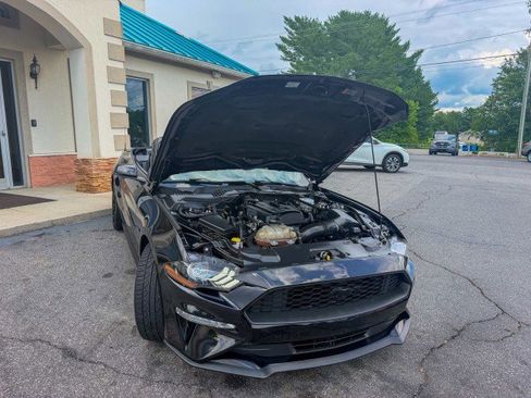 Used 2018 Ford Mustang Premium w/ Equipment Group 201A RWD image 19