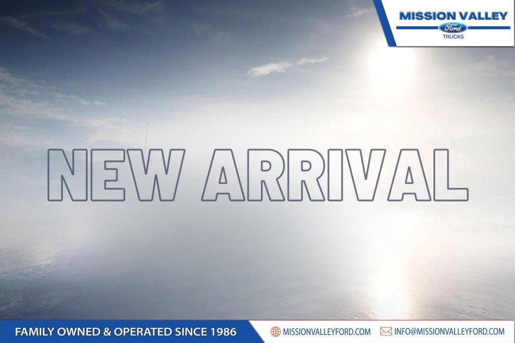 Used 2025 Ford Transit 250 Low Roof w/ Exterior Upgrade Package RWD image 1