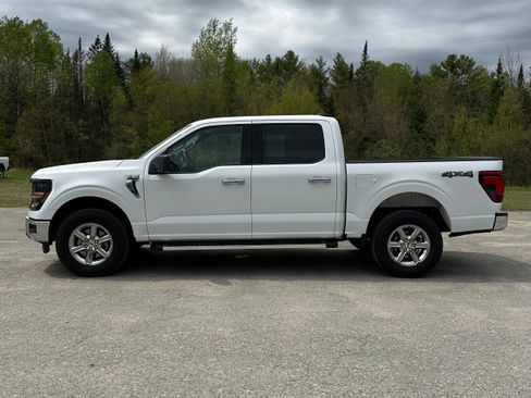 Used 2025 Ford F150 XLT w/ Equipment Group 301A Standard AWD/4WD image 6