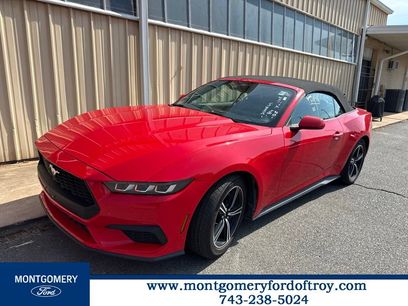 Used 2024 Ford Mustang Premium