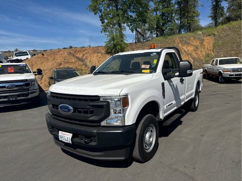 Used 2020 Ford F250 XL w/ Power Equipment Group image 1