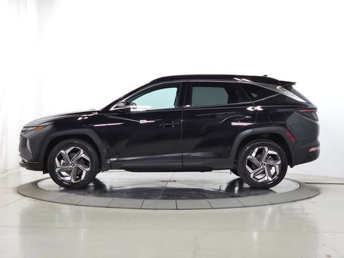 Used 2024 Hyundai Tucson Limited AWD/4WD image 5