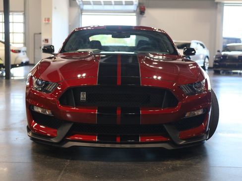Used 2019 Ford Mustang Shelby GT350 w/ Technology Package RWD image 2