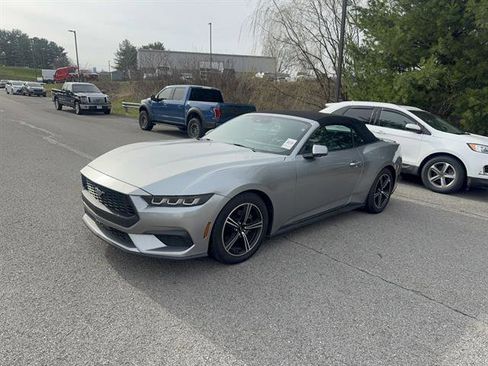 Used 2024 Ford Mustang Premium image 2