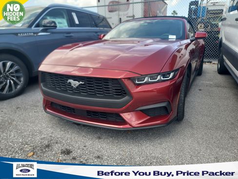 Used 2024 Ford Mustang Premium RWD image 1