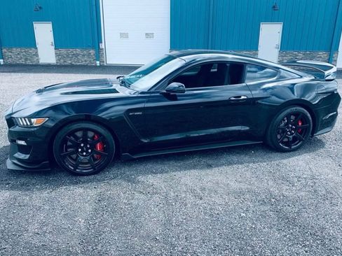 Used 2016 Ford Mustang Shelby GT350R w/ GT350R Equipment Group 920A image 1