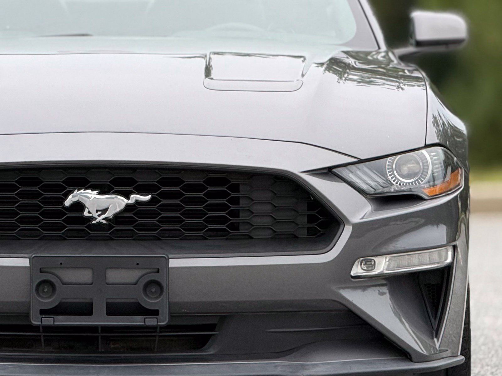 Used 2021 Ford Mustang Premium RWD image 15