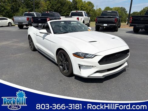 Used 2019 Ford Mustang Premium w/ Equipment Group 201A RWD image 1