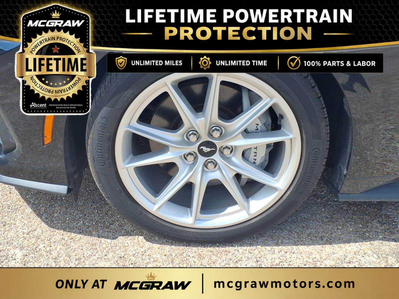 Used 2024 Ford Mustang GT Premium RWD image 10