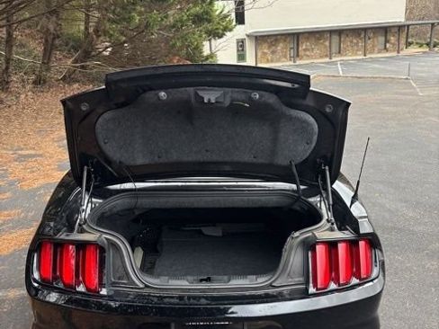 Used 2017 Ford Mustang Premium w/ Equipment Group 201A image 36