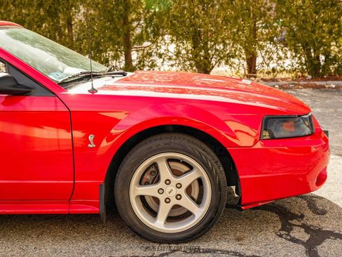 Used 1999 Ford Mustang Cobra RWD image 11