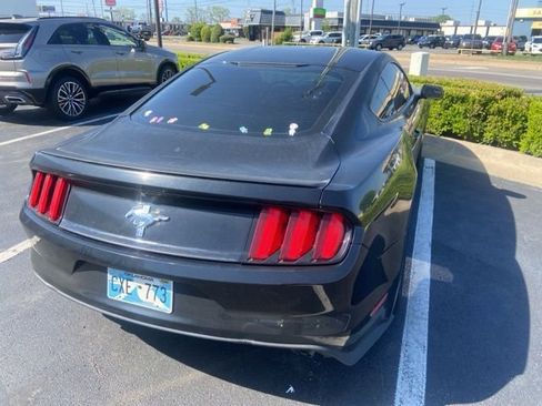 Used 2016 Ford Mustang Coupe w/ Equipment Group 051A image 7