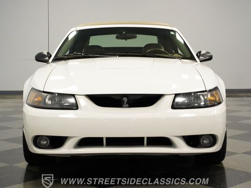 Used 2001 Ford Mustang Cobra RWD image 12