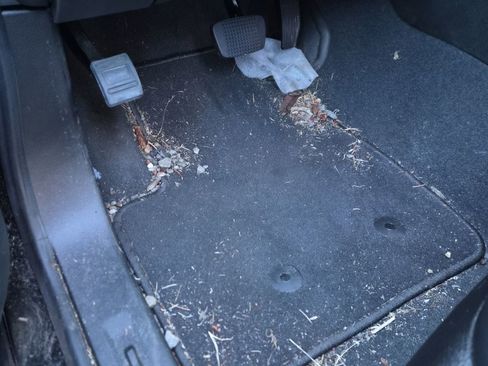 Used 2022 Chevrolet Colorado Z71 image 15