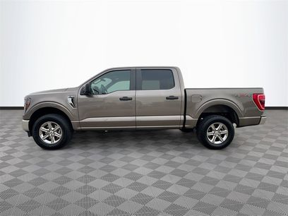 Used 2023 Ford F150 XLT